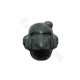 Corvus head