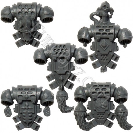 Paquetage Dorsal SW Pack