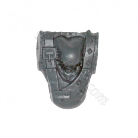 Body C Warbikers Ork