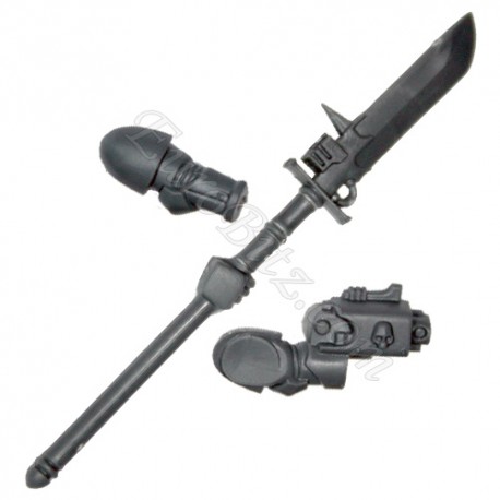 Arms C Hallberd Grey Knight