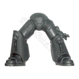 Jambes B Chevaliers Gris