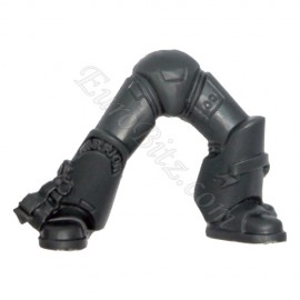 Jambes D Chevaliers Gris