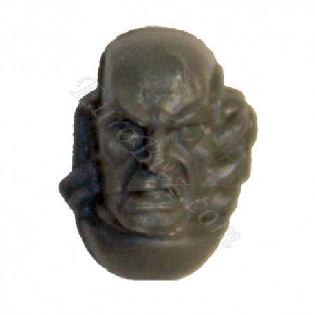 Tête nue A Seigneur Terminator