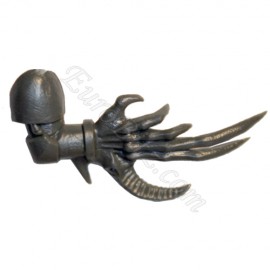 Bras Droit B Possédé