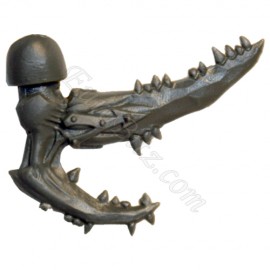 Bras Droit C Possédé