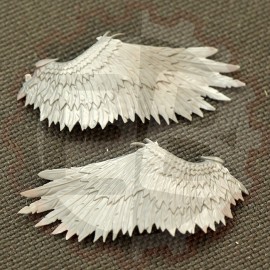 Aile à plumes Fléaux 2