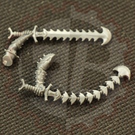 Epées-fouets céraste