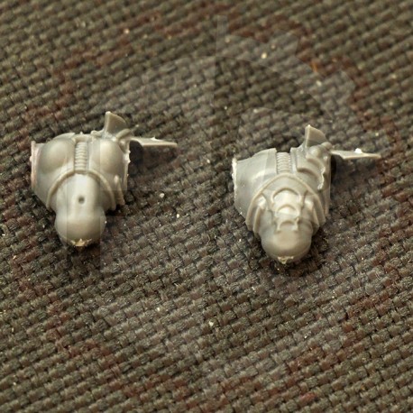 Torse de Céraste Pack B