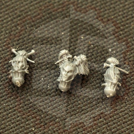 Têtes de Cérastes Pack E