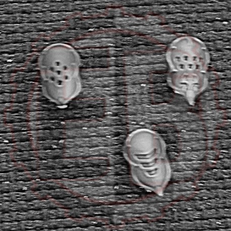 Protection de hanche B