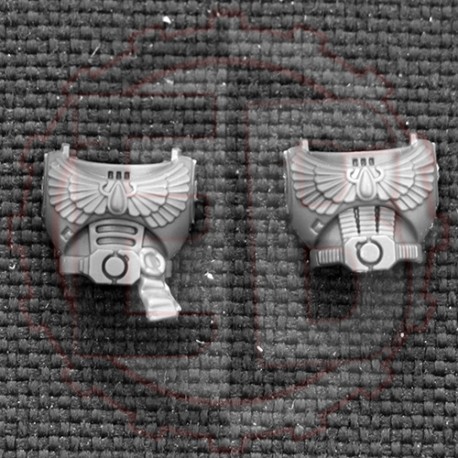 Viseur et bombe a fusion escouade tactique Blood Angel