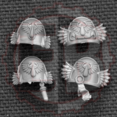 Viseur et bombe a fusion escouade tactique Blood Angel